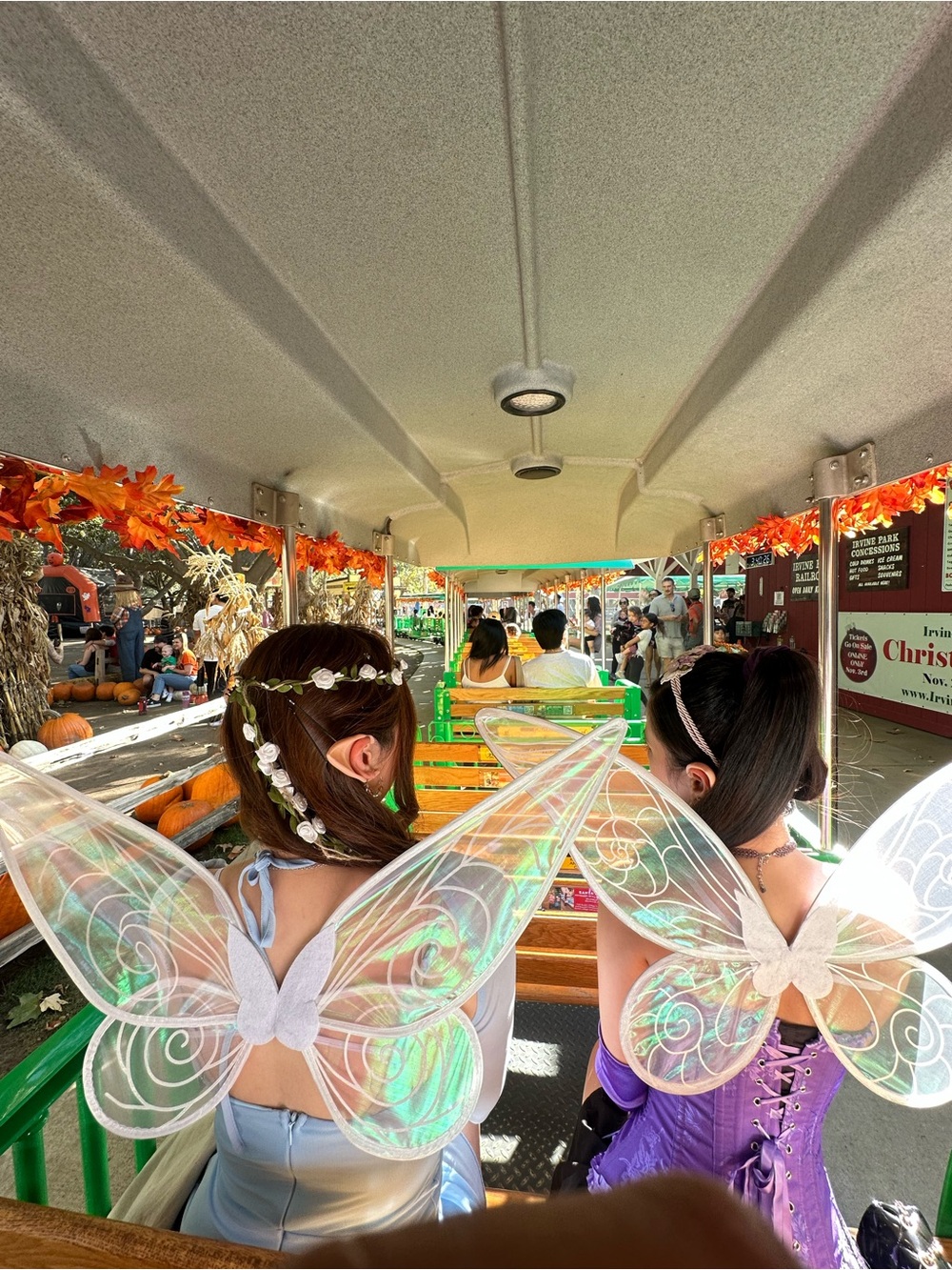 Fairy Wing and Elf ears